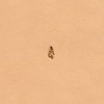 Punzierstempel E294-04 Matting