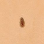 Punzierstempel  P213 Pear Shader