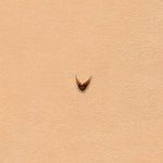 Punzierstempel U710 Mulefoot